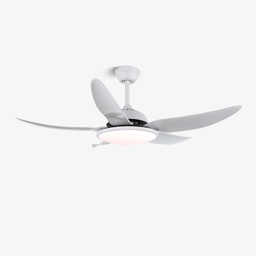 Noctura Ceiling Fan Light