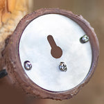 Resin Simulation Animal Parrot Shape 24V LED Waterproof Outdoor Lights