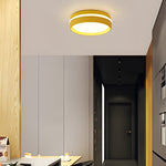 7.9-Inch Round Flush Mount Lighting LED Ceiling Light Acrylic Ceiling Lamp Ceiling-Mounted LED Light for Bedroom