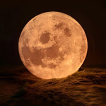 Round Moon Lunar 3D Creativity White Pendant Lamp Hanging Ceiling Lamp