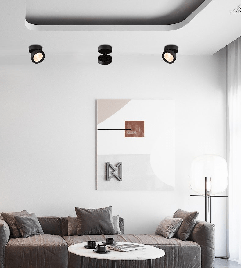 Round Rotating LED Downlight