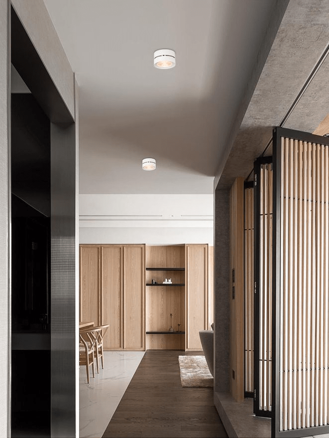 Round Rotating LED Downlight