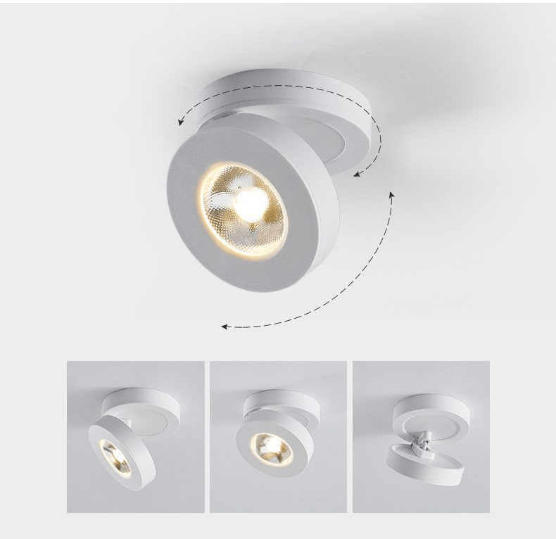Round Rotating LED Downlight