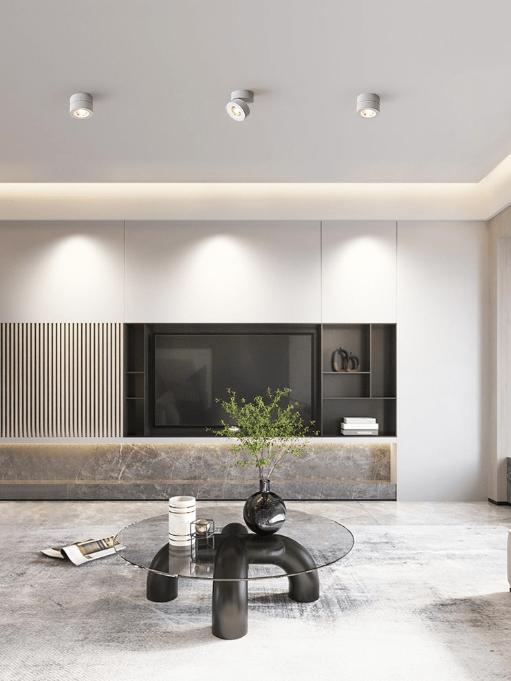 Round Rotating LED Downlight