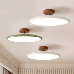 Drift Adjustable Ceiling Lamp