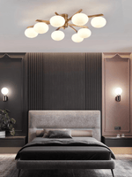 Astrora Globe Ceiling Light