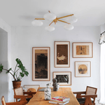 Astrora Globe Ceiling Light