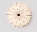 Pompeluna Celing Light