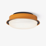 Caelan Ceiling Light