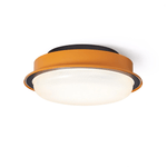Caelan Ceiling Light