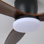 Nocturnus Ceiling Fan Light