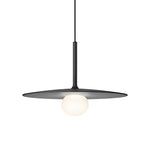 Round Creative Glass Iron LED Black Nordic Pendant Lighting Chandelier