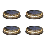Modern Black LED Outdoor Solar Disc Path Light, 4-Pack