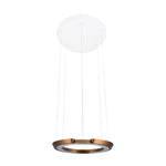 Modern LED Ring-Shaped Pendant Light with Acrylic Shades for Living Room