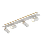 Minimalist Long Strip 2/3/4 Light LED Flush Mount Adjustable Spotlight