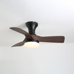 Brisa Ceiling Fan Light