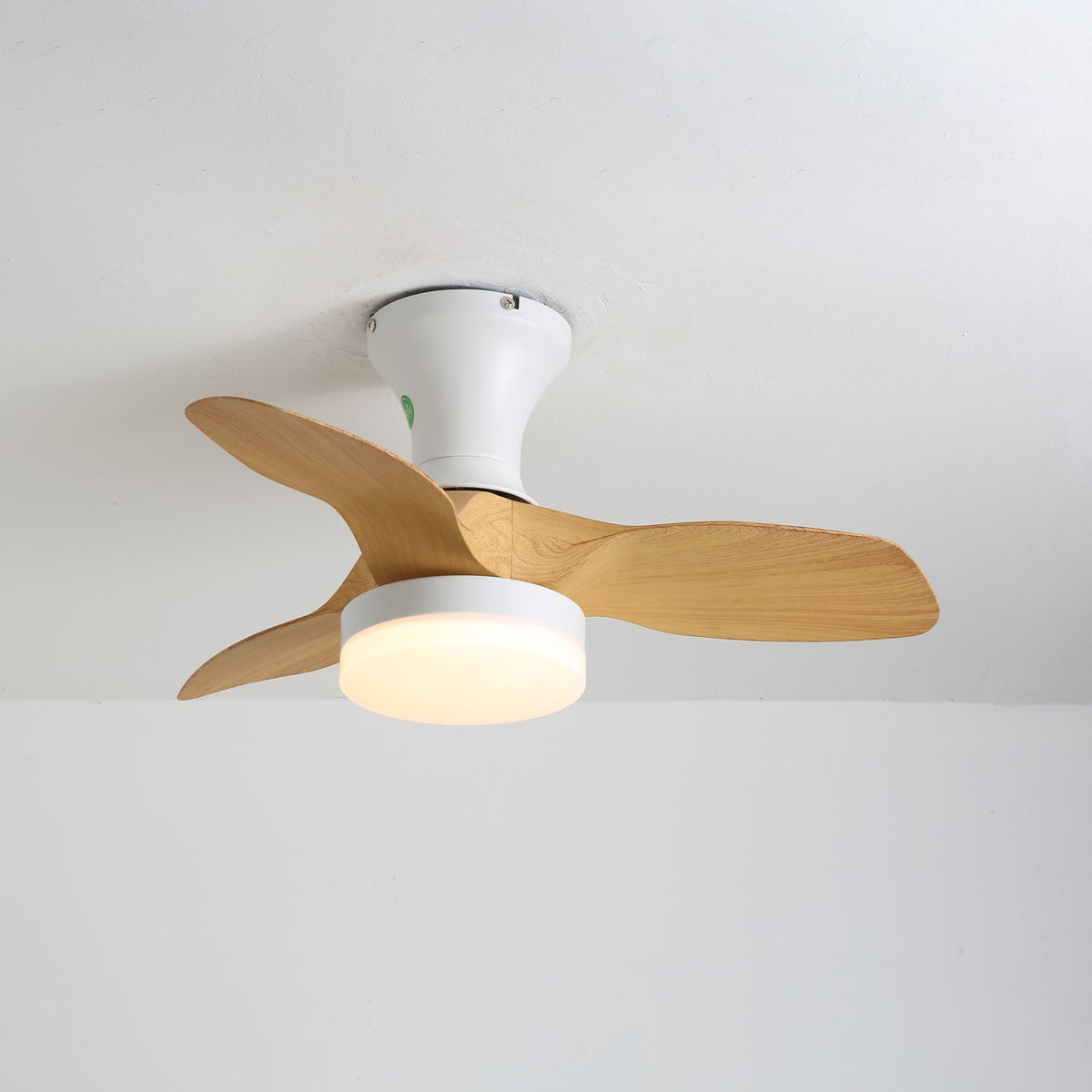 Brisa Ceiling Fan Light