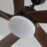 Auralin Breeze Ceiling Fan Light