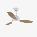 Breeze Minimal Ceiling Fan Light