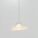 Blown Glass Mesh Pendant Light