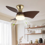 Breeze Lux Ceiling Fan Light