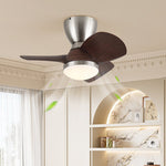 Velis Ceiling Fan Light