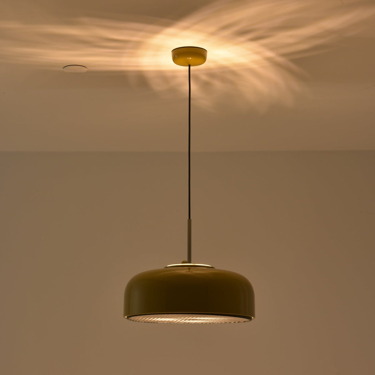 Podgy Pendant Light