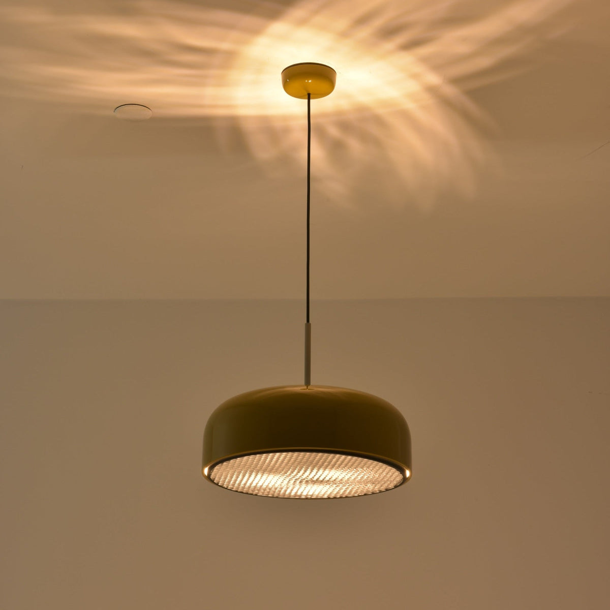 Podgy Pendant Light