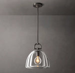 Botanist Dome Pendant