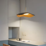 Creative Round 12W LED Nordic Chandelier Pendant Light Hanging Ceiling Lights