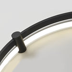 Round Creative LED Stepless Dimming with Remote Modern Ceiling Lights