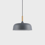 Acorn Pendant Light