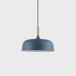 Acorn Pendant Light