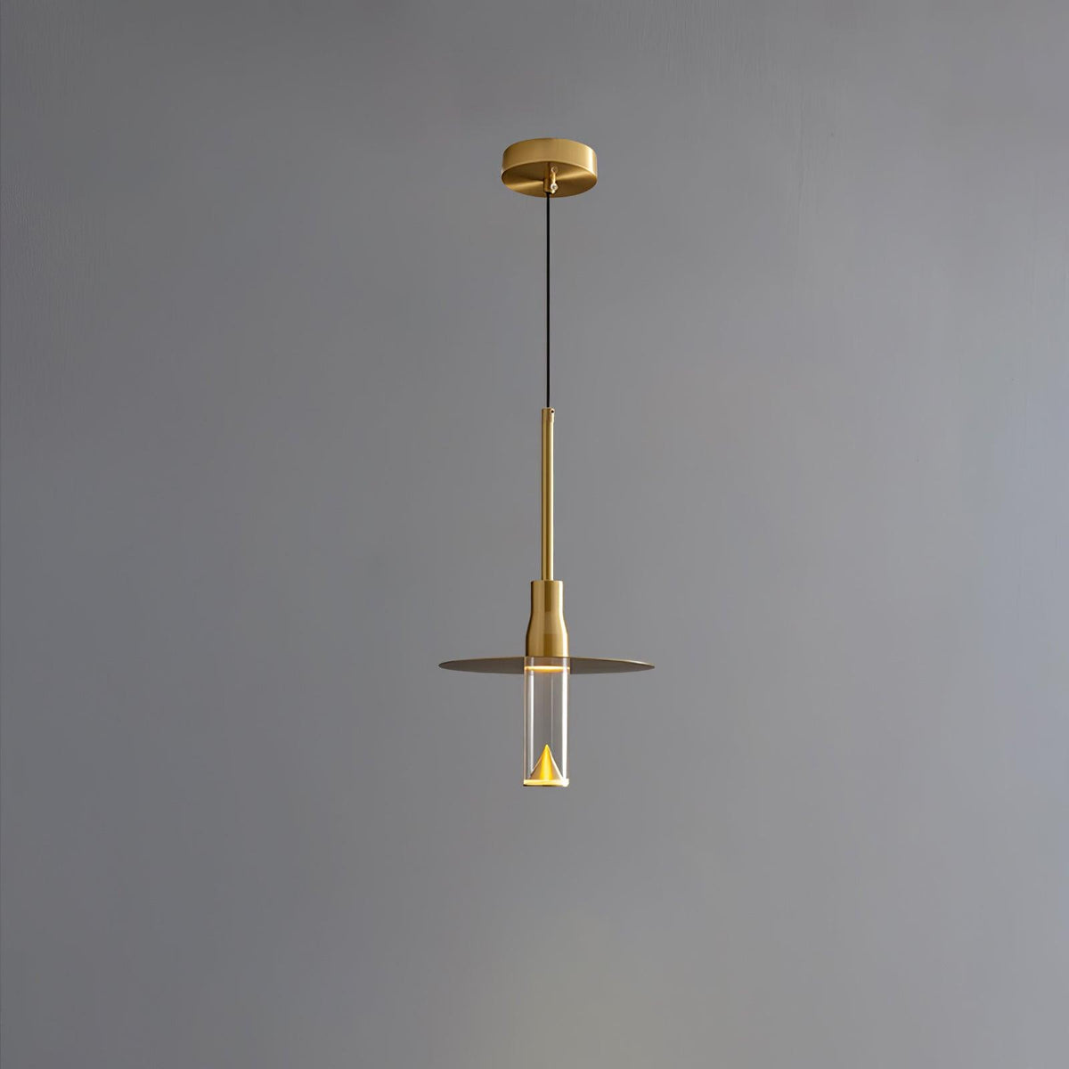 Acrylic Hat Plate Pendant Light