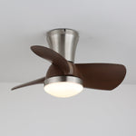 Aero Echo Ceiling Fan Light