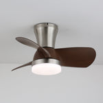 Aero Echo Ceiling Fan Light