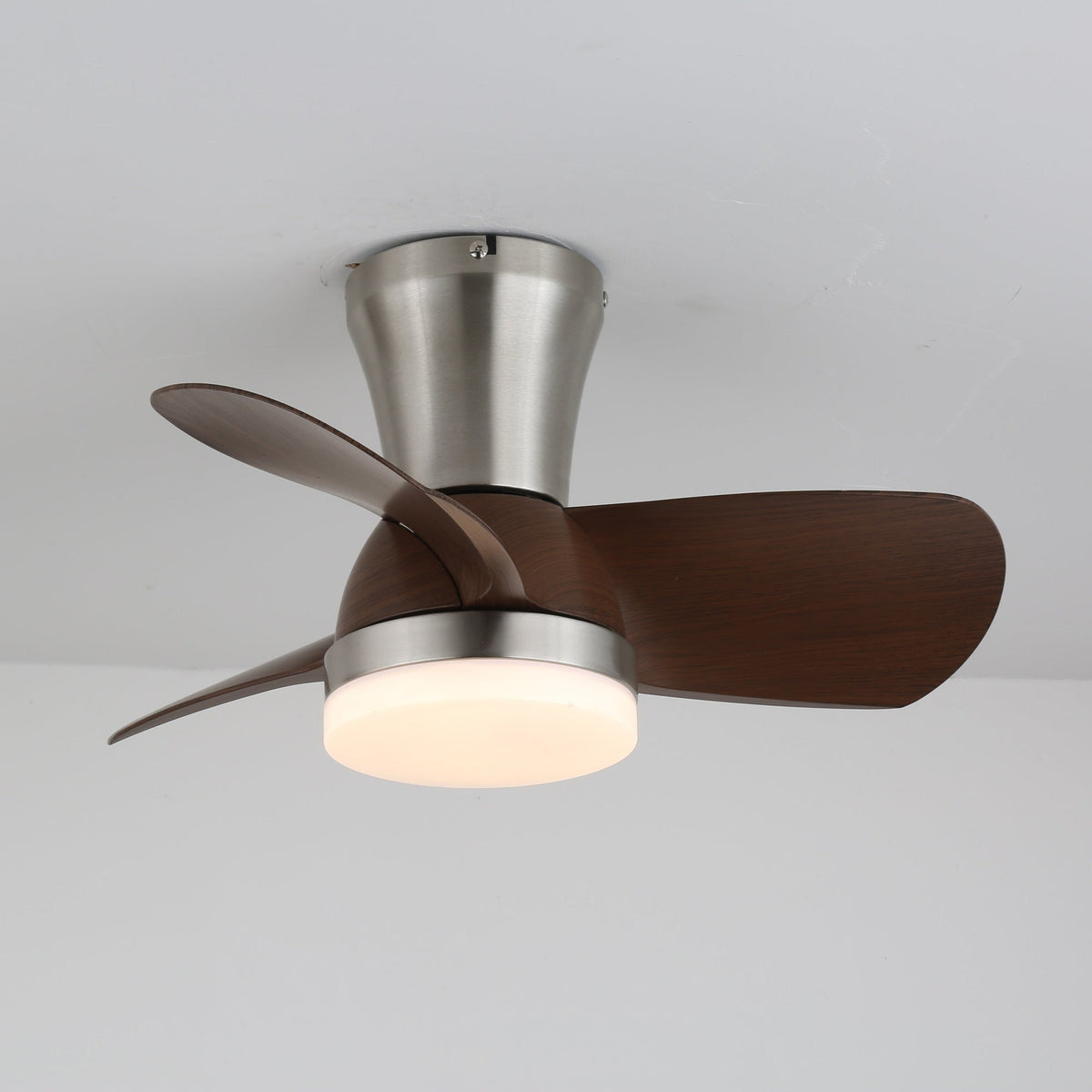 Aero Echo Ceiling Fan Light