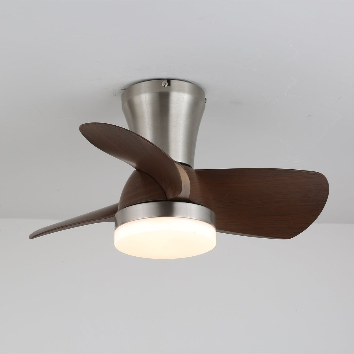 Aero Echo Ceiling Fan Light