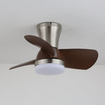 Aero Echo Ceiling Fan Light
