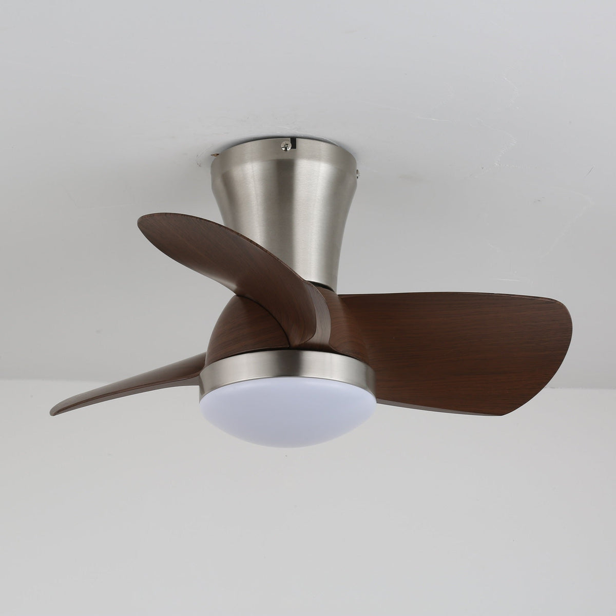 Aero Echo Ceiling Fan Light
