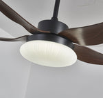 Aero Palm Ceiling Fan Light