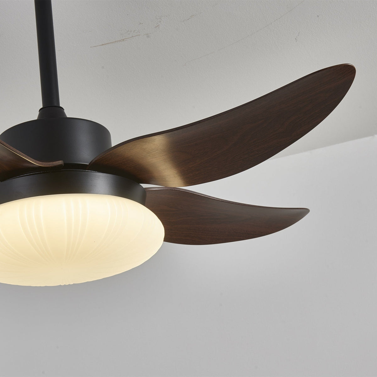 Aero Palm Ceiling Fan Light