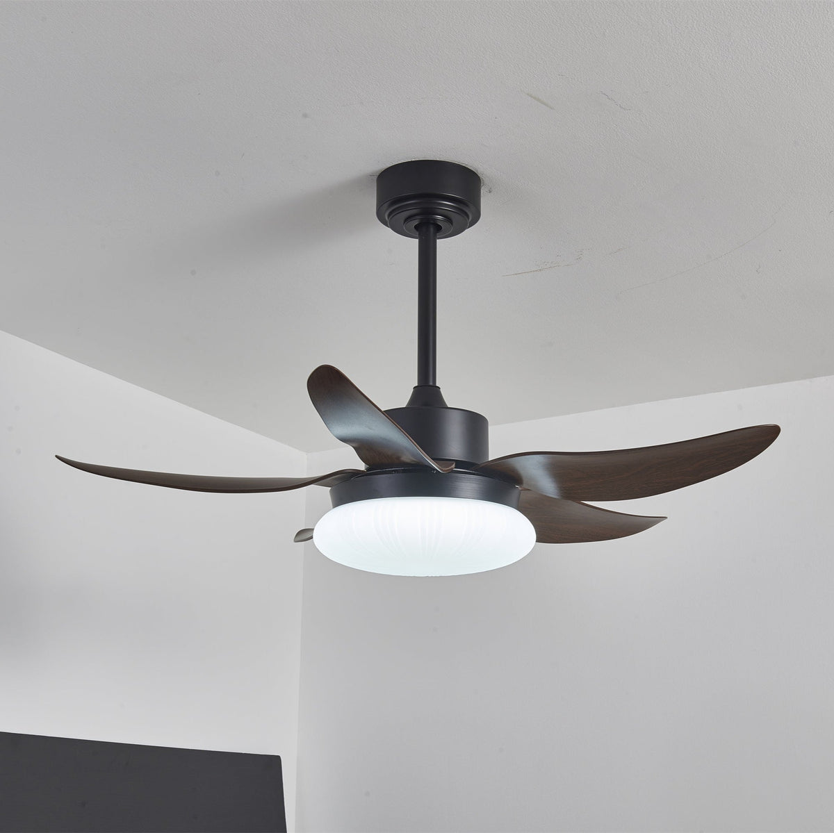 Aero Palm Ceiling Fan Light