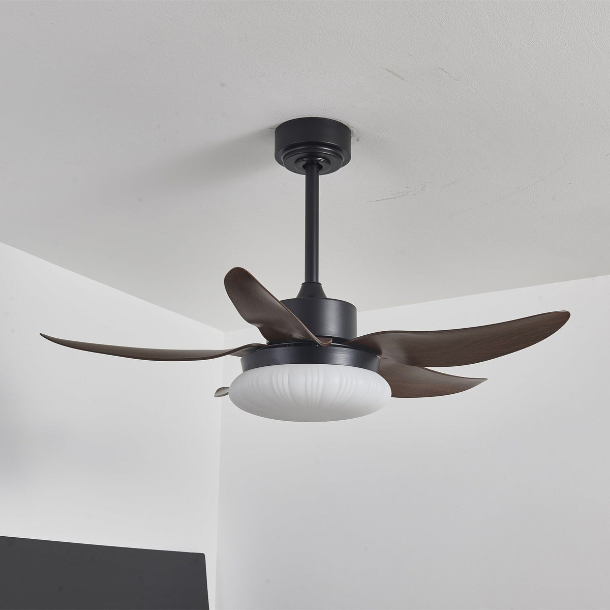 Aero Palm Ceiling Fan Light
