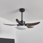 Aero Palm Ceiling Fan Light