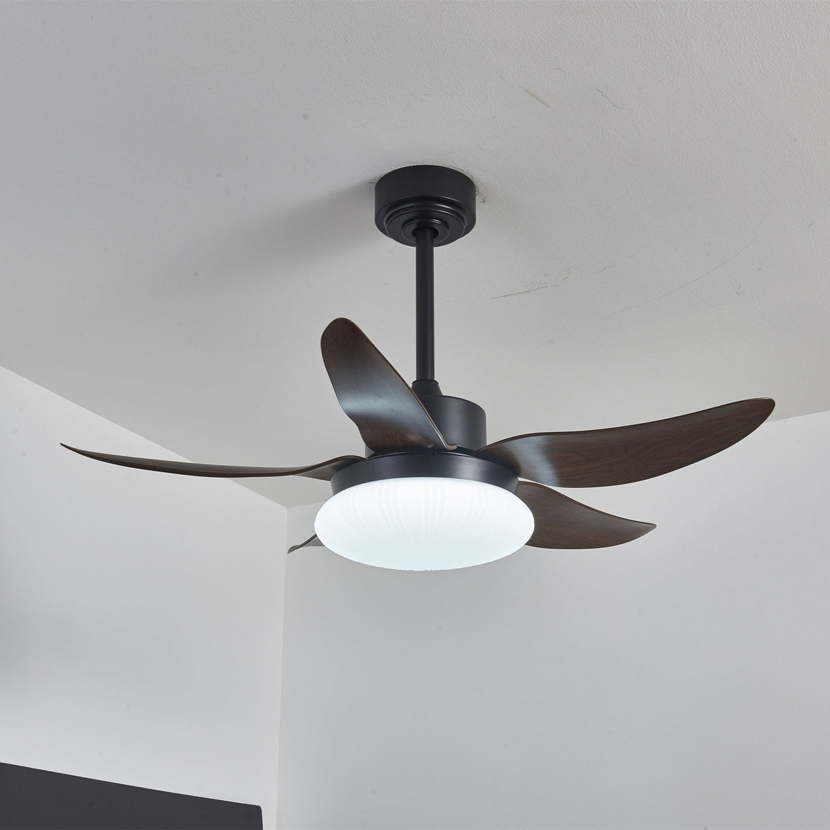 Aero Palm Ceiling Fan Light