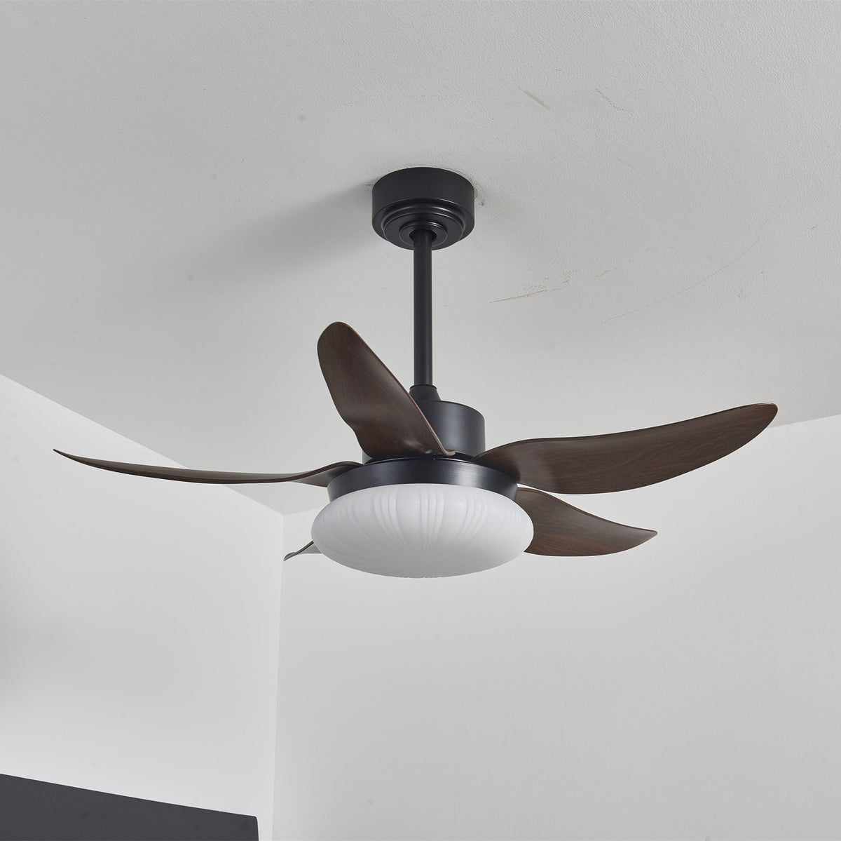 Aero Palm Ceiling Fan Light