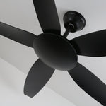 Aeron Noir Ceiling Fan