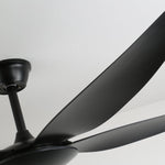 Aeron Noir Ceiling Fan