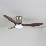 Aeronix Ceiling Fan Light